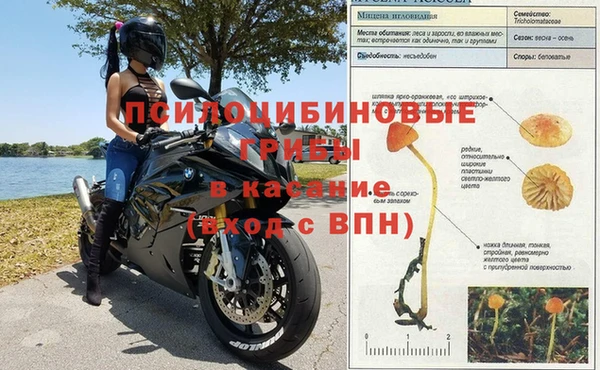 шишки Киреевск