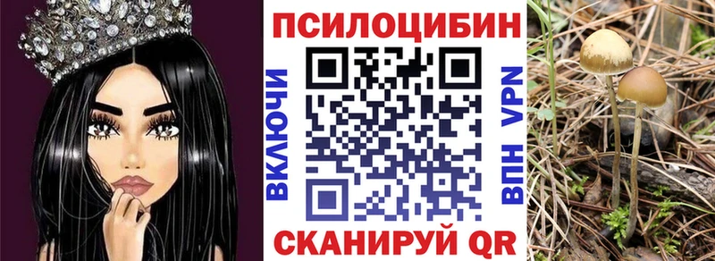 Галлюциногенные грибы GOLDEN TEACHER  Тарко-Сале 