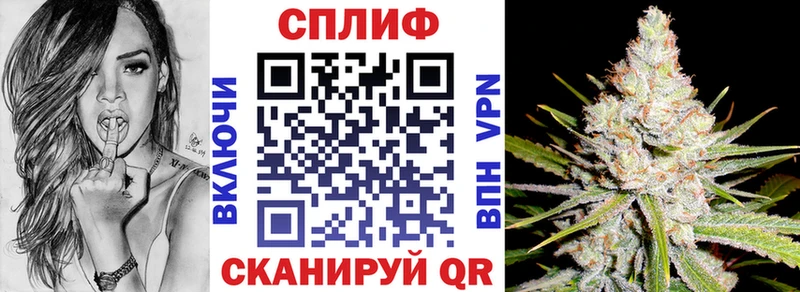 Бошки Шишки гибрид  Тарко-Сале 